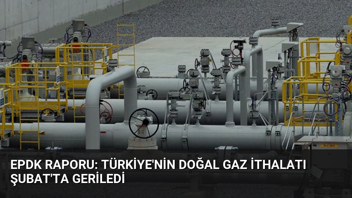 EPDK Raporu: Türkiye’nin Doğal Gaz İthalatı Şubat’ta Geriledi