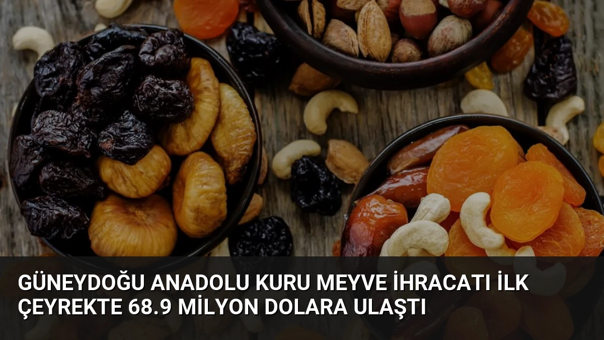 Güneydoğu Anadolu Kuru Meyve İhracatı İlk Çeyrekte 68.9 Milyon Dolara Ulaştı