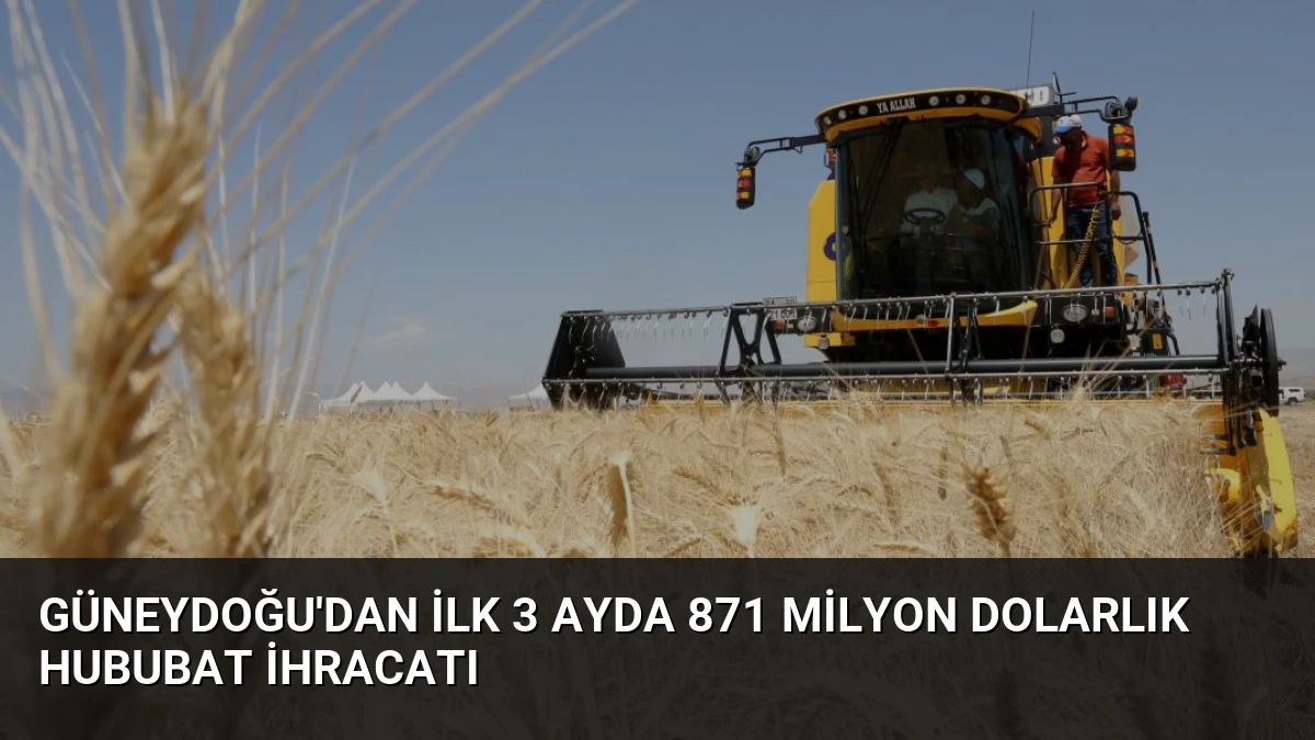 Güneydoğu’dan İlk 3 Ayda 871 Milyon Dolarlık Hububat İhracatı