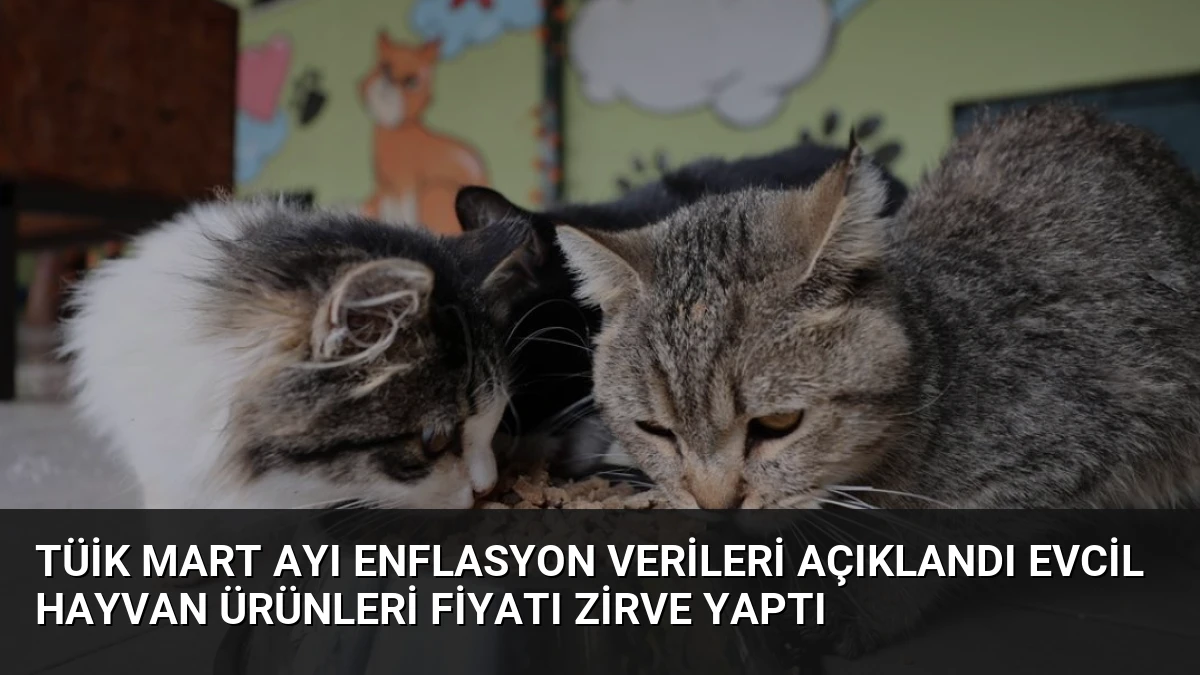 TÜİK Mart Ayı Enflasyon Verileri Açıklandı Evcil Hayvan Ürünleri Fiyatı Zirve Yaptı