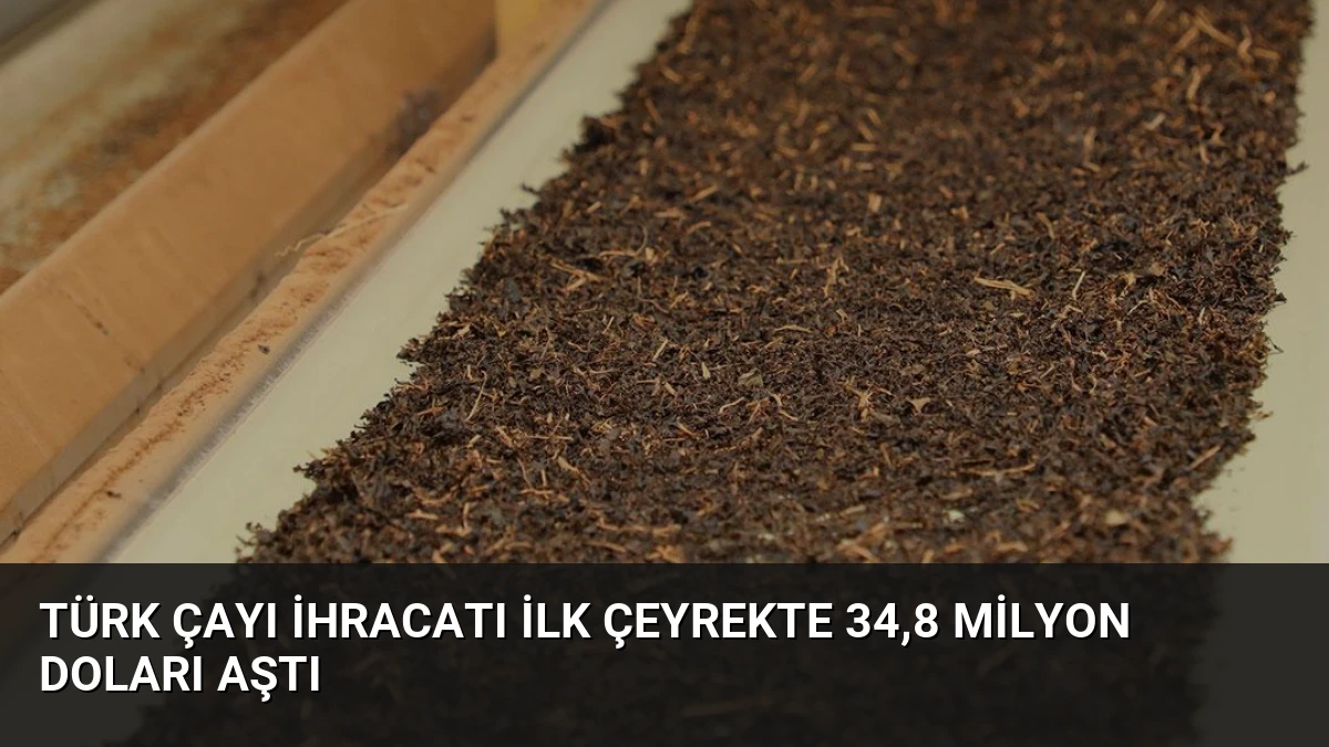 Türk Çayı İhracatı İlk Çeyrekte 34,8 Milyon Doları Aştı