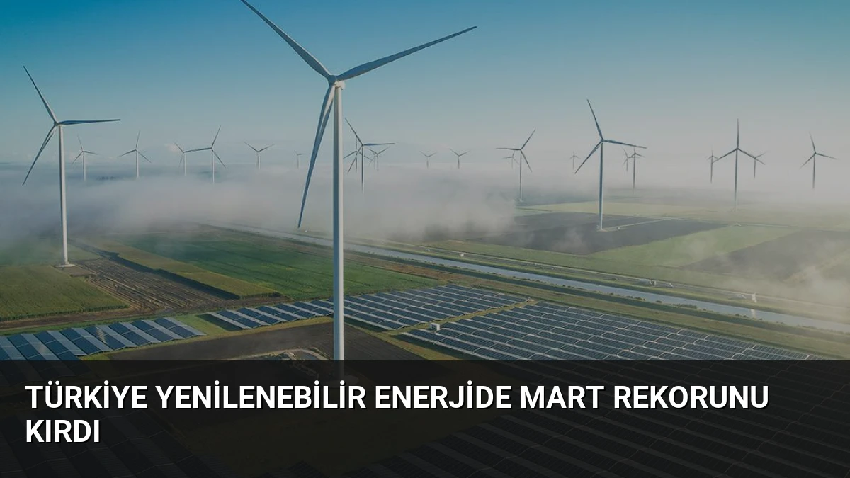 Türkiye Yenilenebilir Enerjide Mart Rekorunu Kırdı