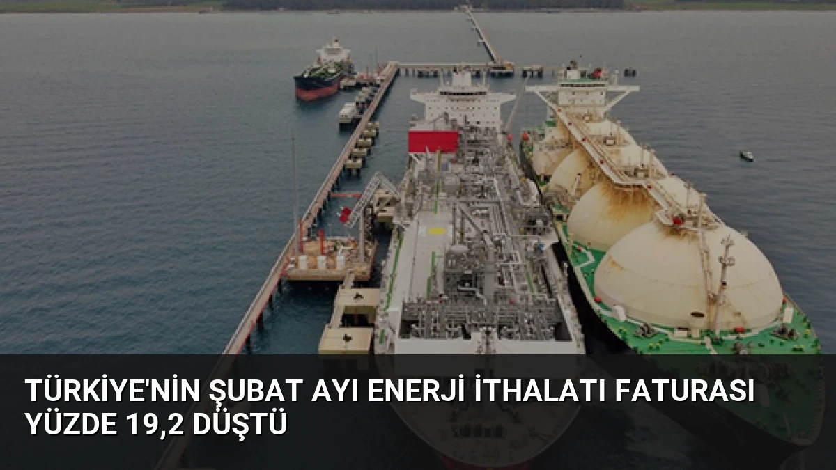 Türkiye’nin Şubat Ayı Enerji İthalatı Faturası Yüzde 19,2 Düştü