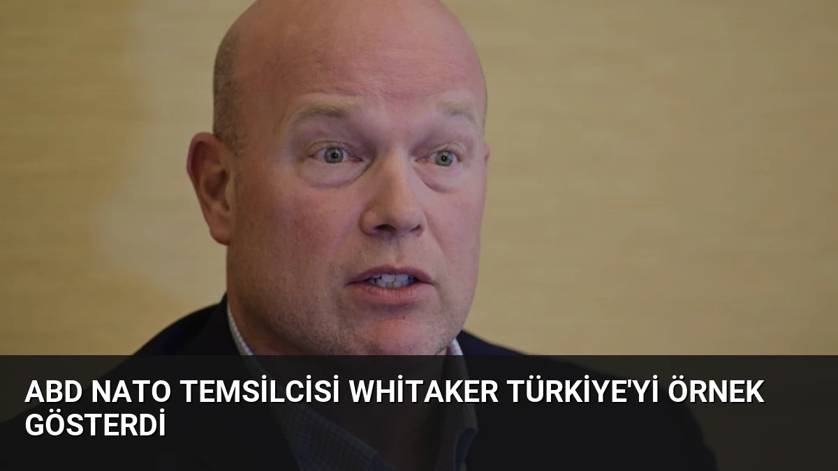 ABD NATO Temsilcisi Whitaker Türkiye’yi Örnek Gösterdi