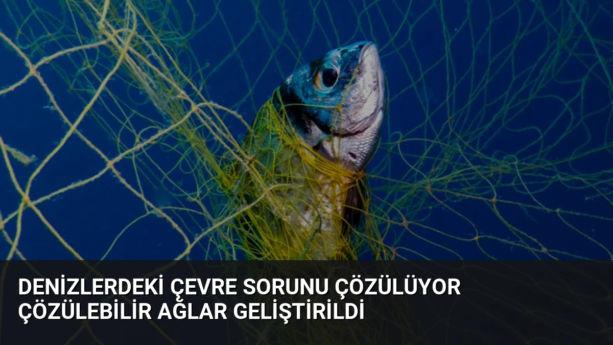 Denizlerdeki Çevre Sorunu Çözülüyor Çözülebilir Ağlar Geliştirildi