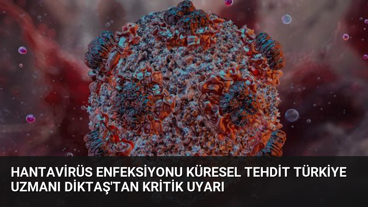 Hantavirüs Enfeksiyonu Küresel Tehdit Türkiye Uzmanı Diktaş’tan Kritik Uyarı