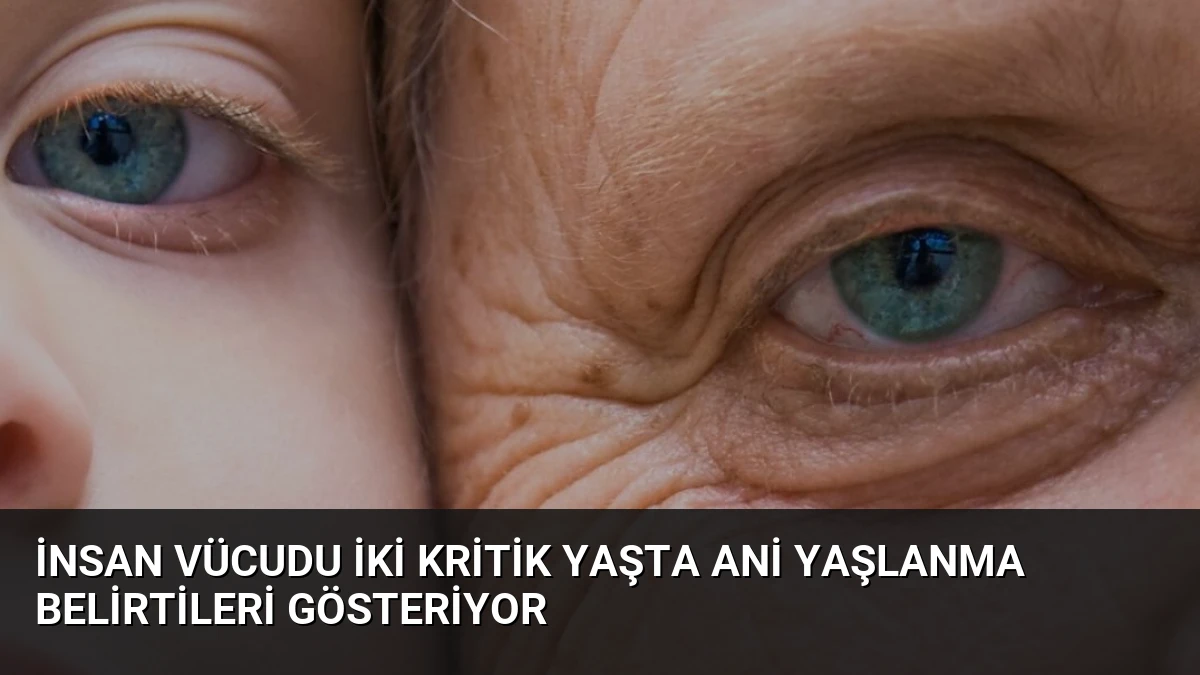 İnsan Vücudu İki Kritik Yaşta Ani Yaşlanma Belirtileri Gösteriyor