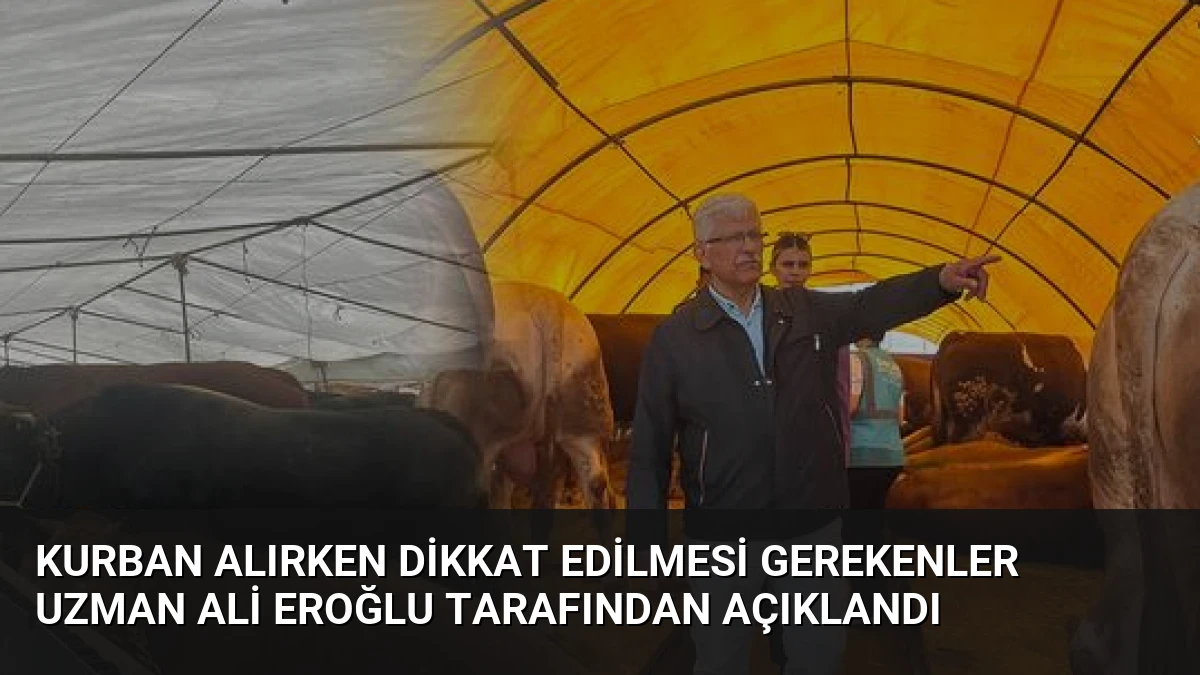 Kurban Alırken Dikkat Edilmesi Gerekenler Uzman Ali Eroğlu Tarafından Açıklandı
