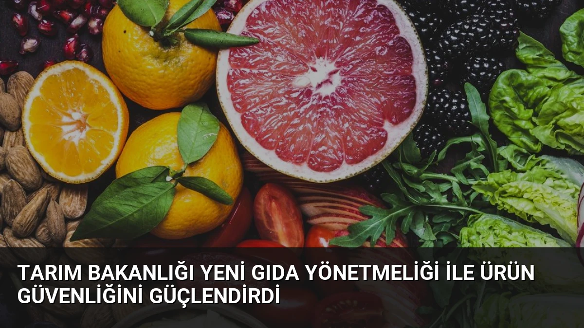Tarım Bakanlığı Yeni Gıda Yönetmeliği ile Ürün Güvenliğini Güçlendirdi