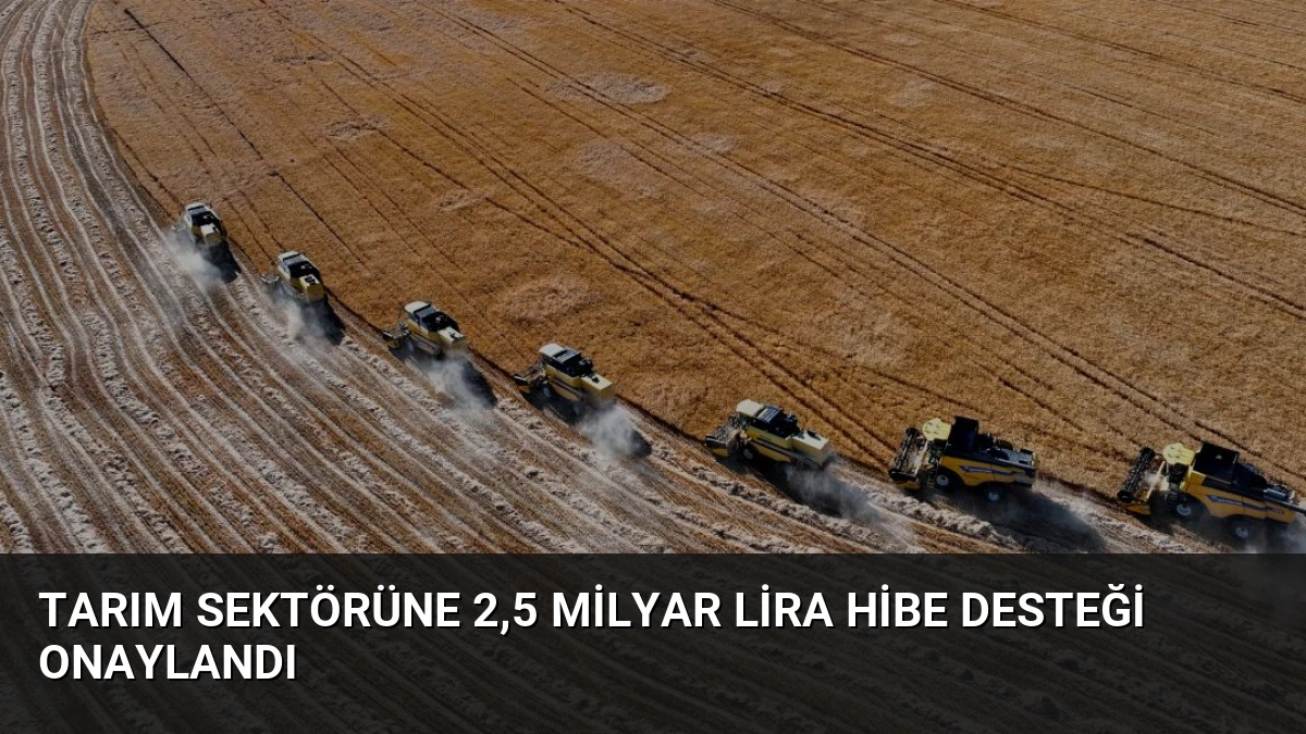 Tarım Sektörüne 2,5 Milyar Lira Hibe Desteği Onaylandı