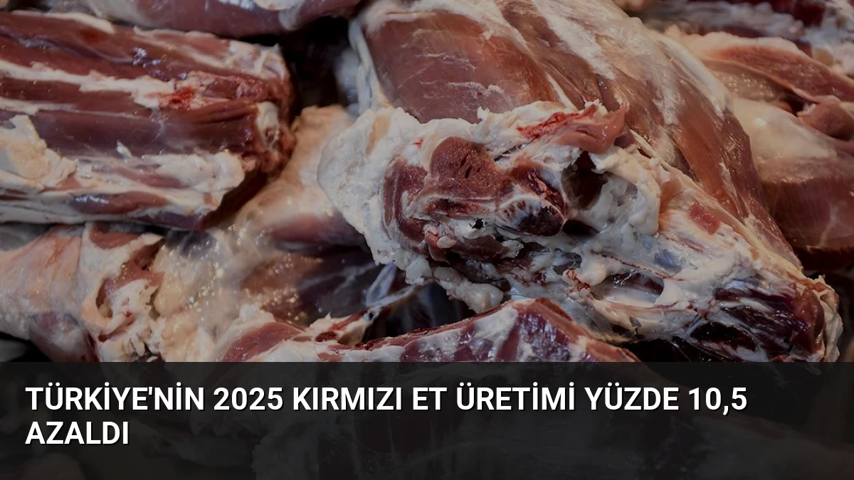 Türkiye’nin 2025 Kırmızı Et Üretimi Yüzde 10,5 Azaldı