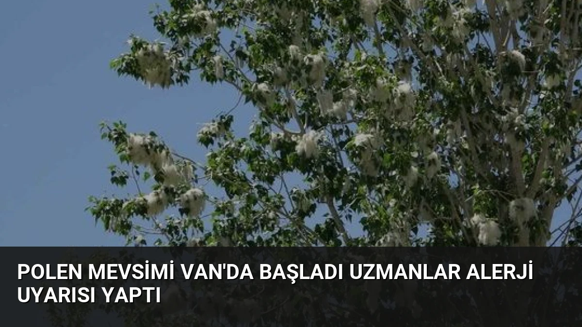 Polen Mevsimi Van’da Başladı Uzmanlar Alerji Uyarısı Yaptı