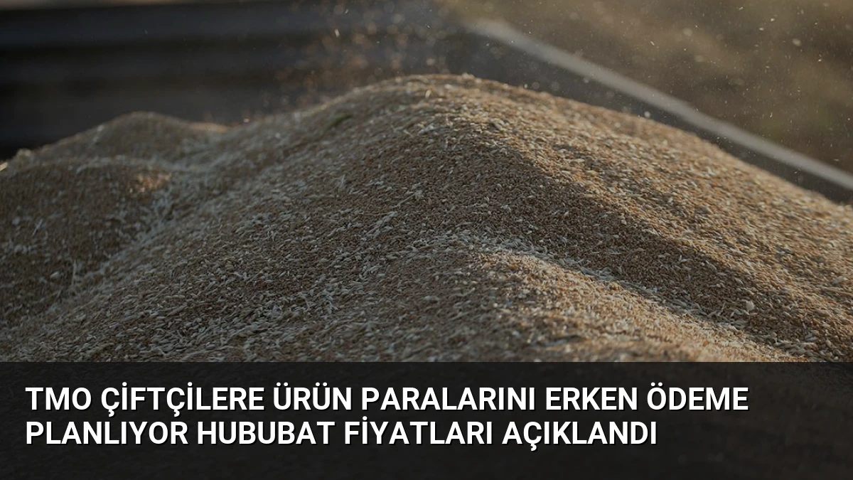 TMO Çiftçilere Ürün Paralarını Erken Ödeme Planlıyor Hububat Fiyatları Açıklandı