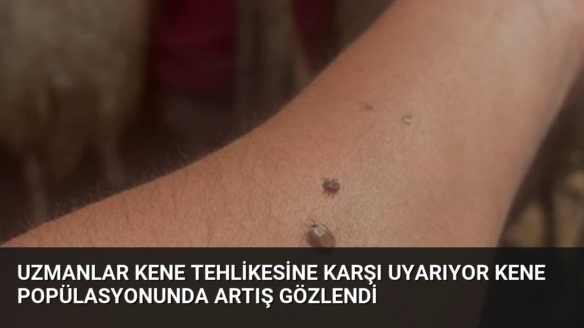 Uzmanlar Kene Tehlikesine Karşı Uyarıyor Kene Popülasyonunda Artış Gözlendi