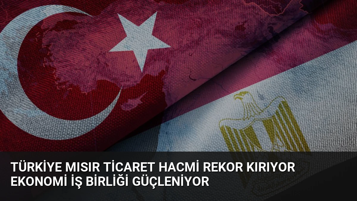Türkiye Mısır Ticaret Hacmi Rekor Kırıyor Ekonomi İş Birliği Güçleniyor