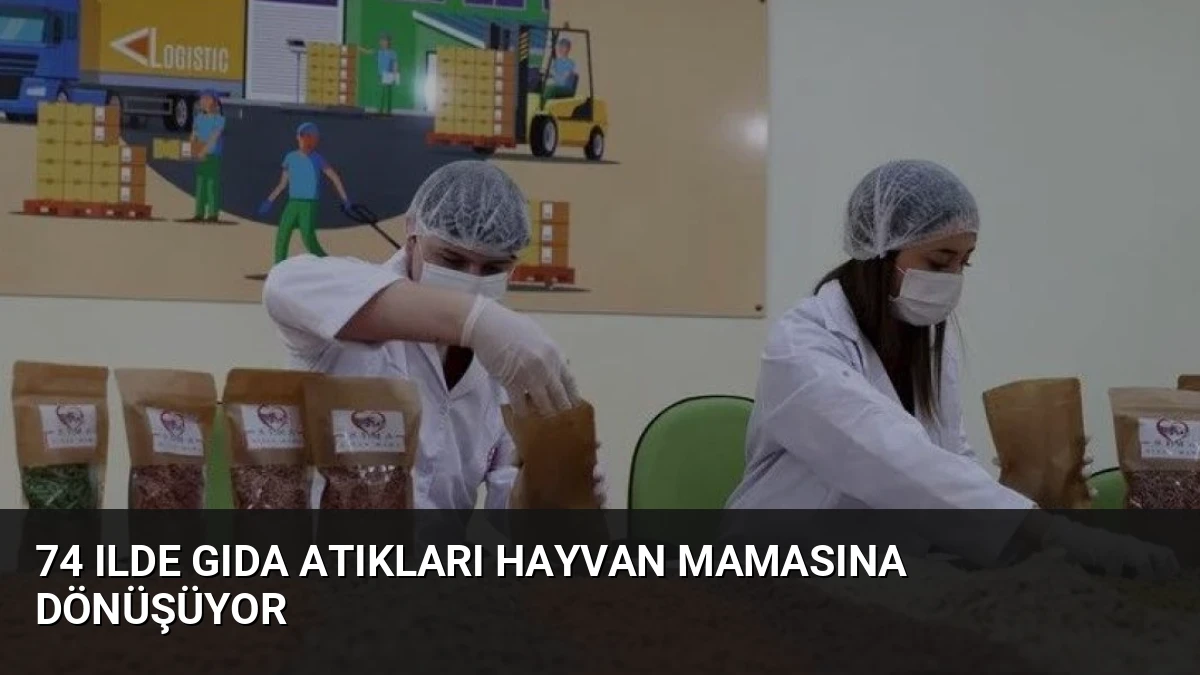 74 Ilde Gıda Atıkları Hayvan Mamasına Dönüşüyor