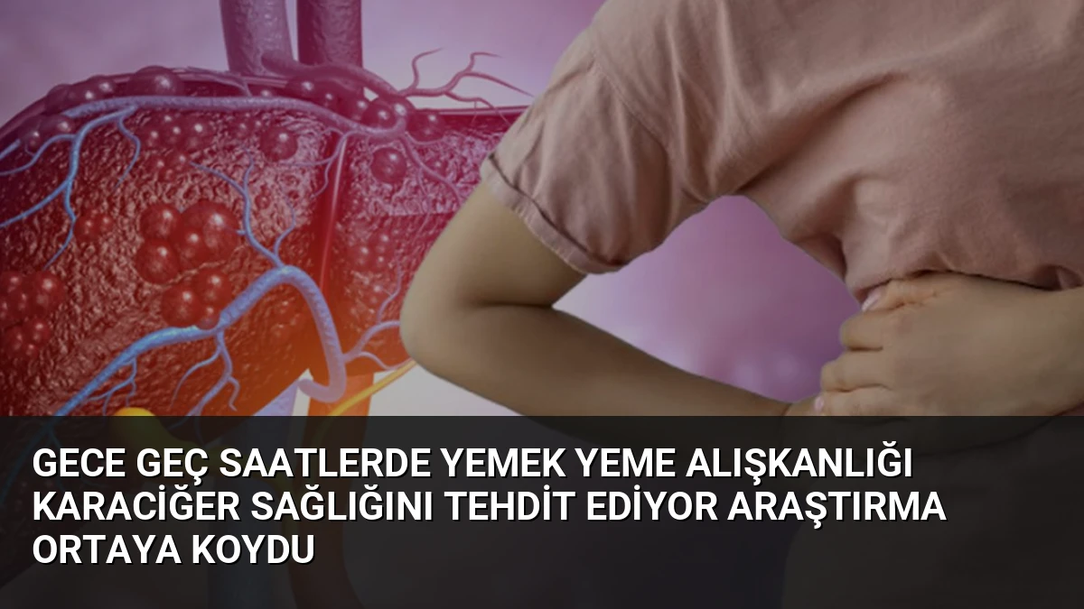 Gece Geç Saatlerde Yemek Yeme Alışkanlığı Karaciğer Sağlığını Tehdit Ediyor Araştırma Ortaya Koydu